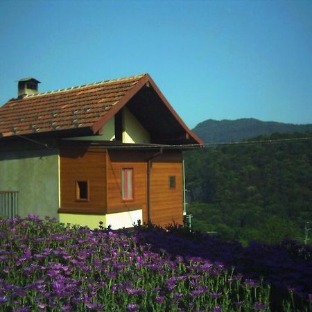 B&B Cip E Ciop Miazzina Bagian luar foto