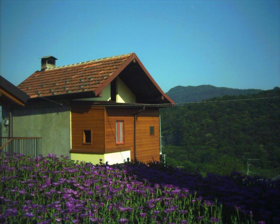 B&B Cip E Ciop Miazzina Bagian luar foto