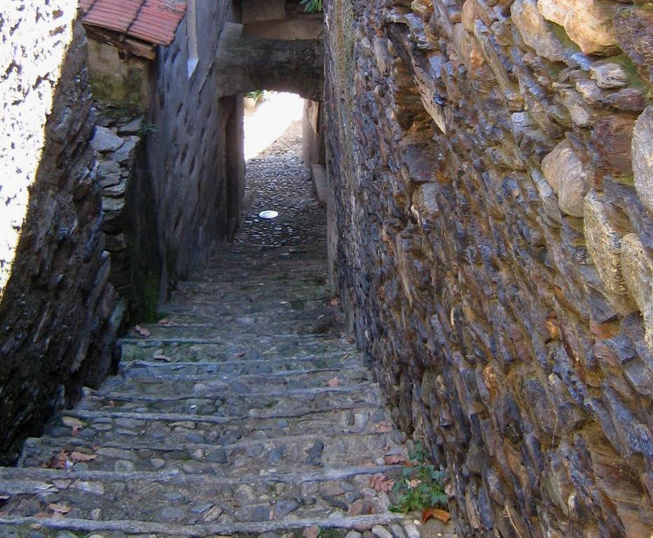 B&B Cip E Ciop Miazzina Bagian luar foto